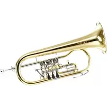 278255