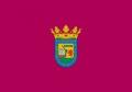 Alava bandera 200px