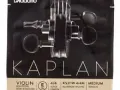 Kaplan ks311w non whistling e string