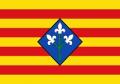 Lerida bandera 200px