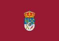 Salamanca bandera 200px