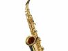 Startone sas 75 alto sax