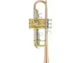 Thomann tr 600 gm c trumpet