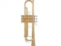 Yamaha ytr 4335 gii bb trumpet